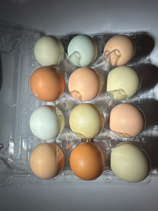 One Dozen Eggs